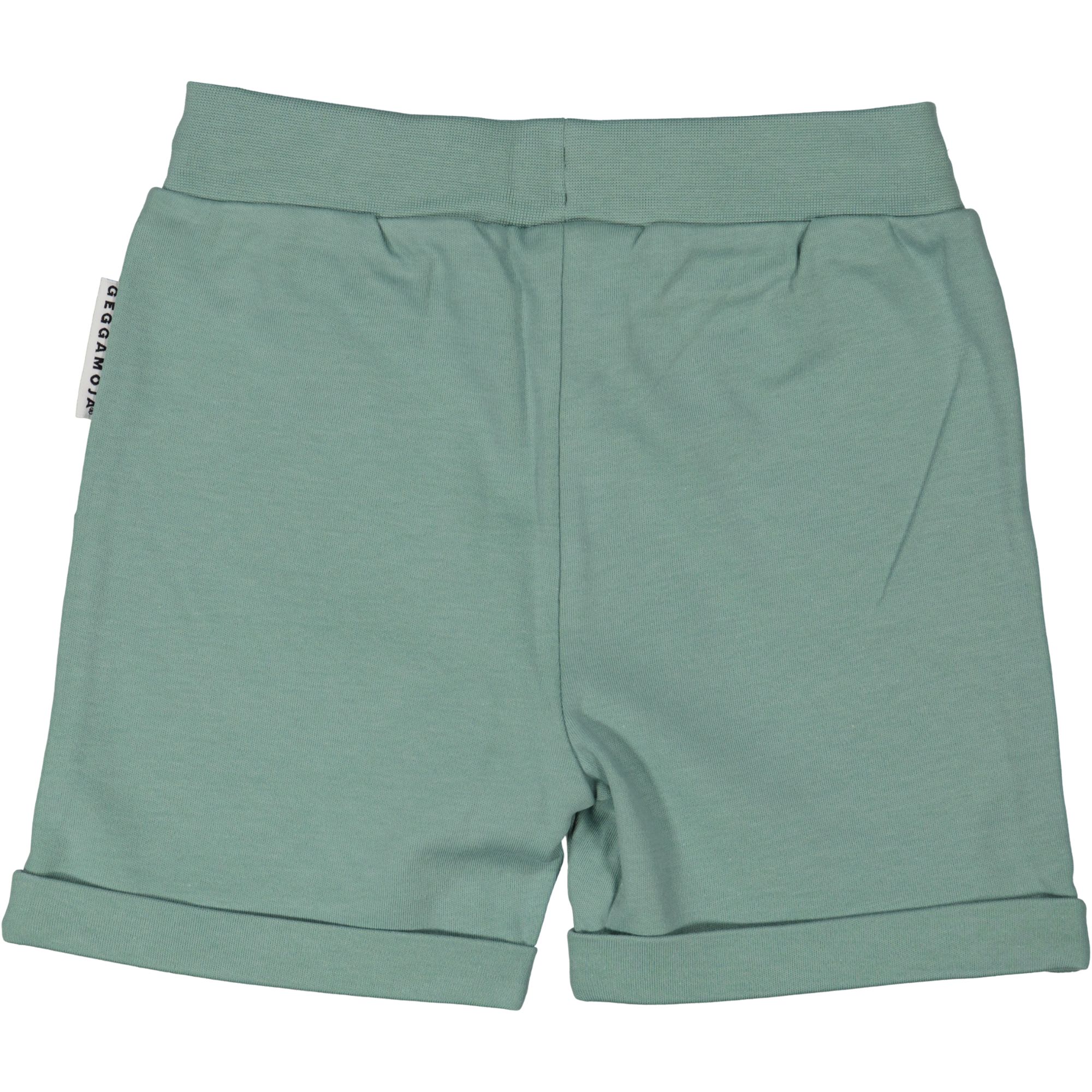 Summer shorts Light green