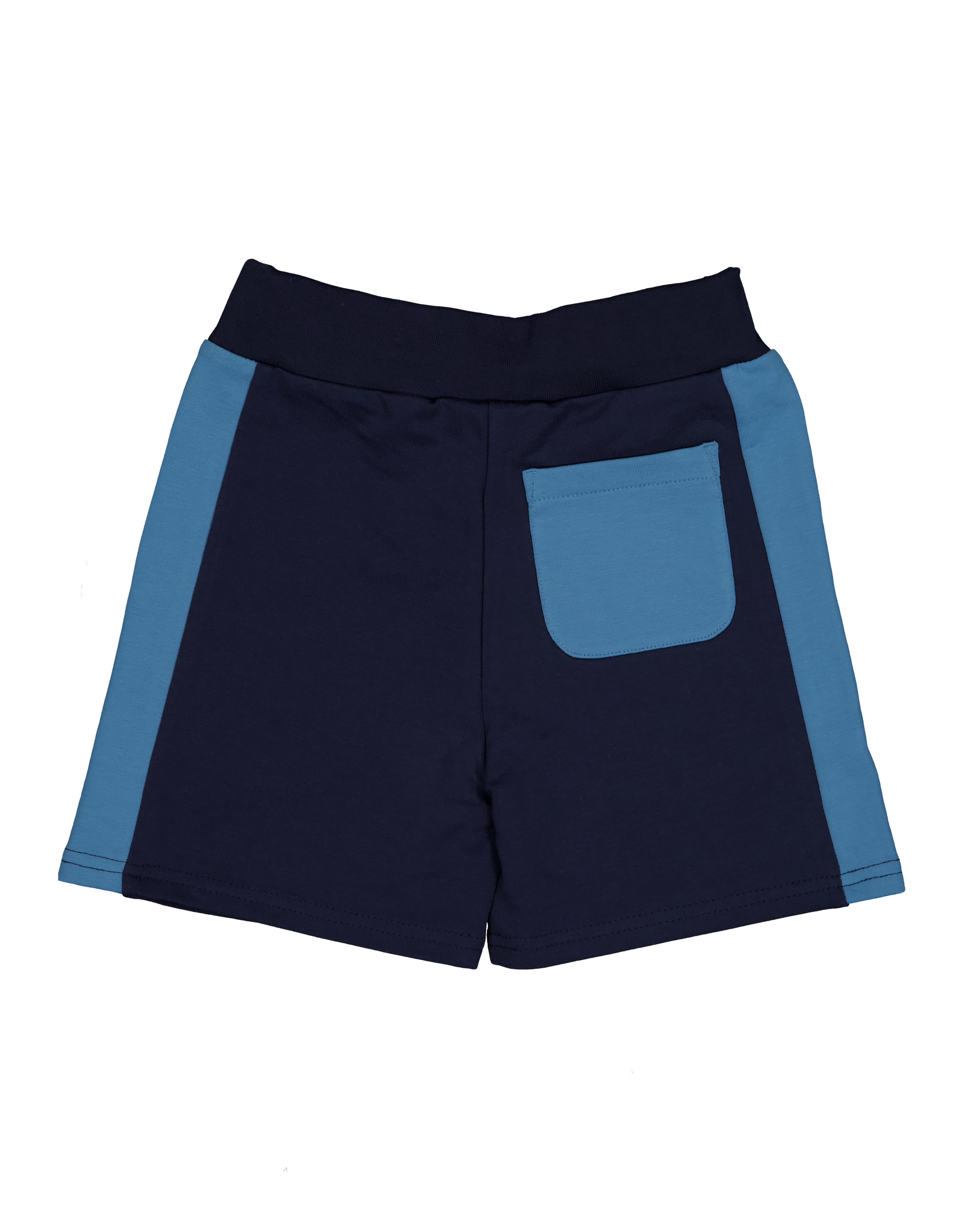 College shorts Navy