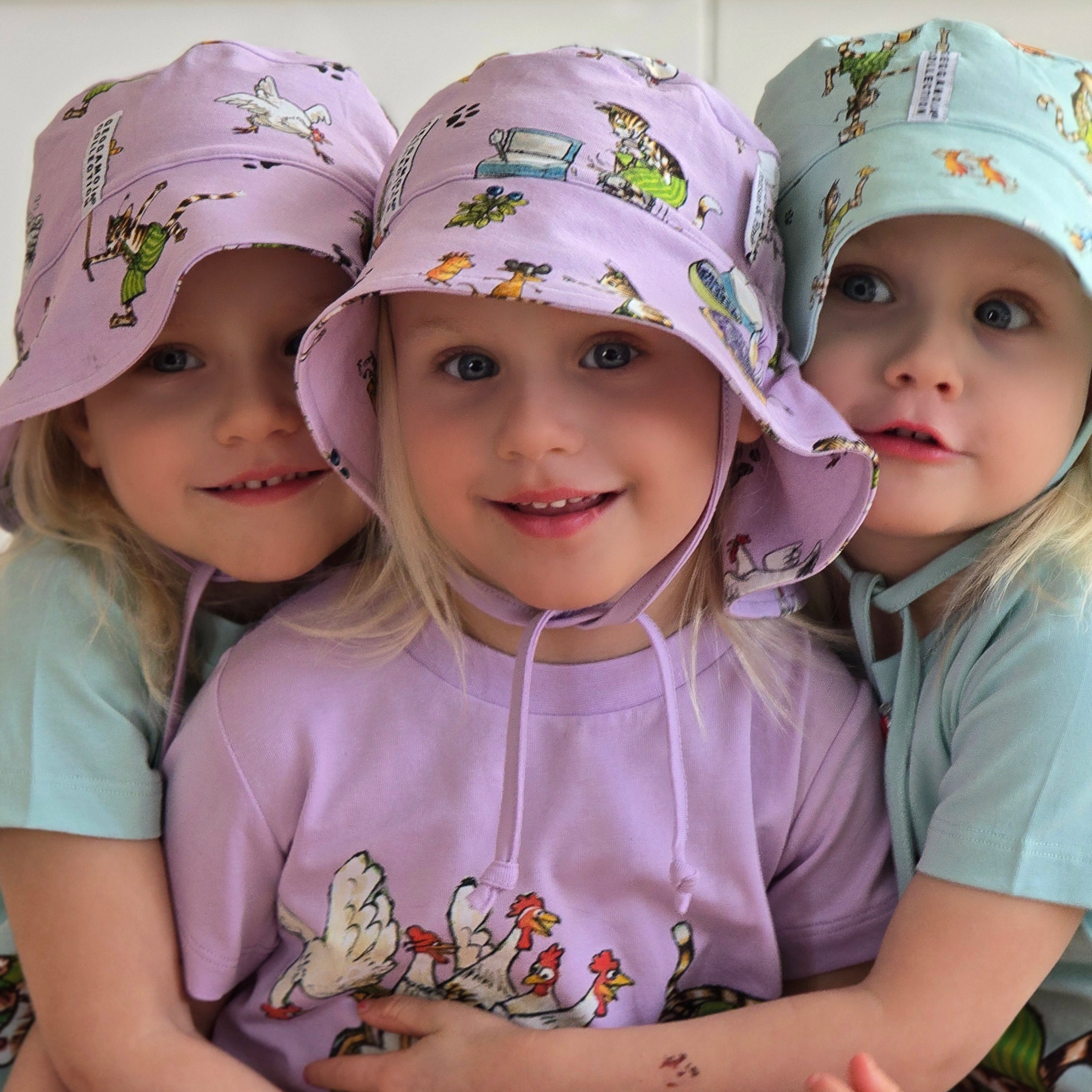 Solhatt Pettson och Findus Lila