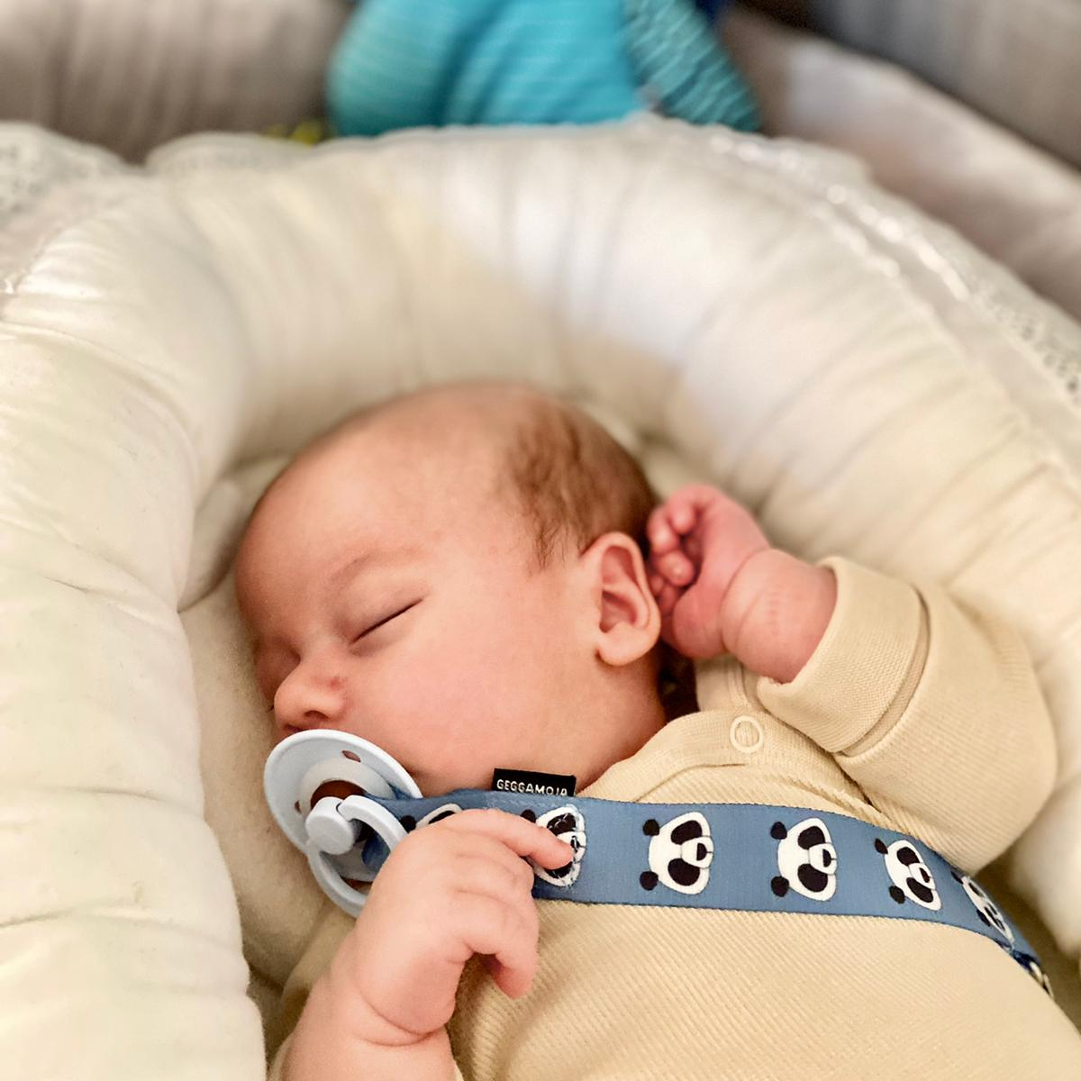 Pacifier Holder Blue panda